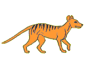 Tiere
